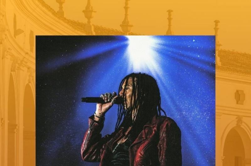 Cantante in concerto, atmosfera vibrante e luci intense.